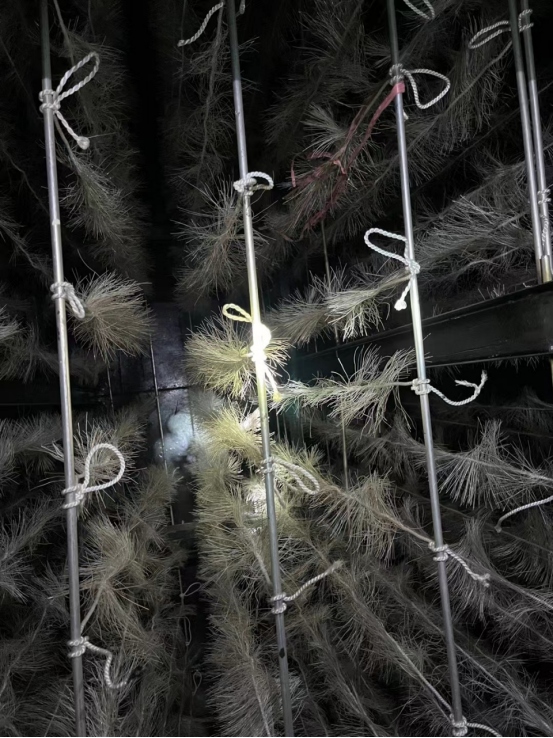 上海污水處理設(shè)施運(yùn)維改造